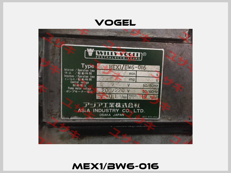 MEX1/BW6-016 Vogel