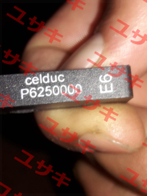 P6250000 Celduc