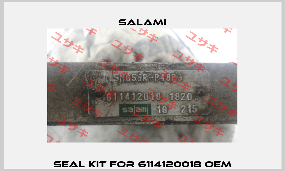 seal kit for 6114120018 oem Salami