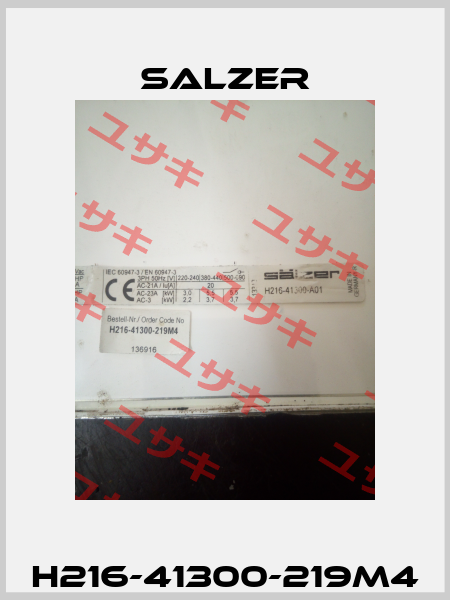 H216-41300-219M4 Salzer