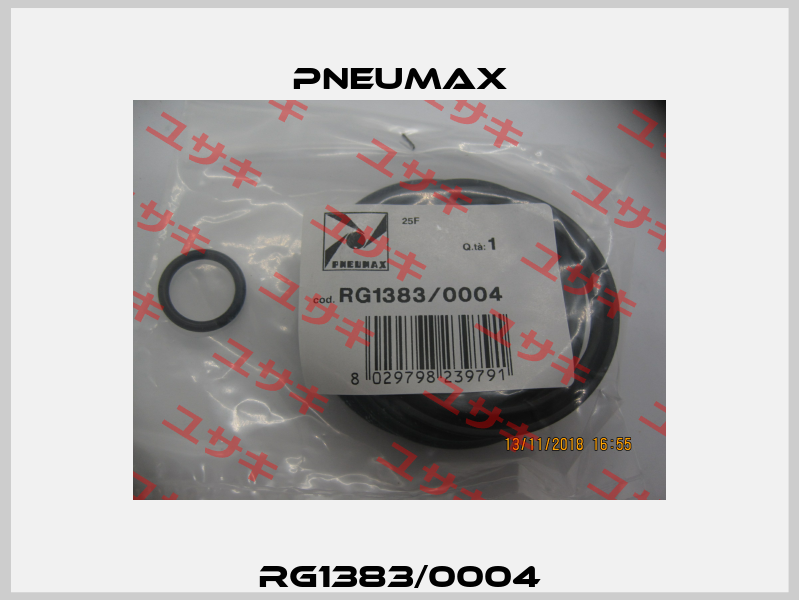 RG1383/0004 Pneumax