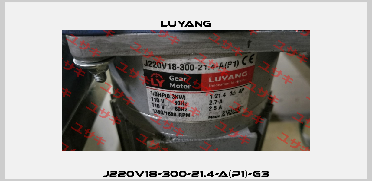 J220V18-300-21.4-A(P1)-G3 Luyang Gear Motor