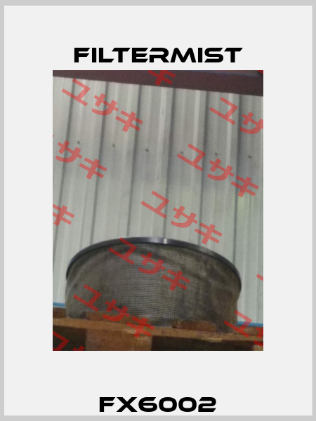 FX6002 Filtermist