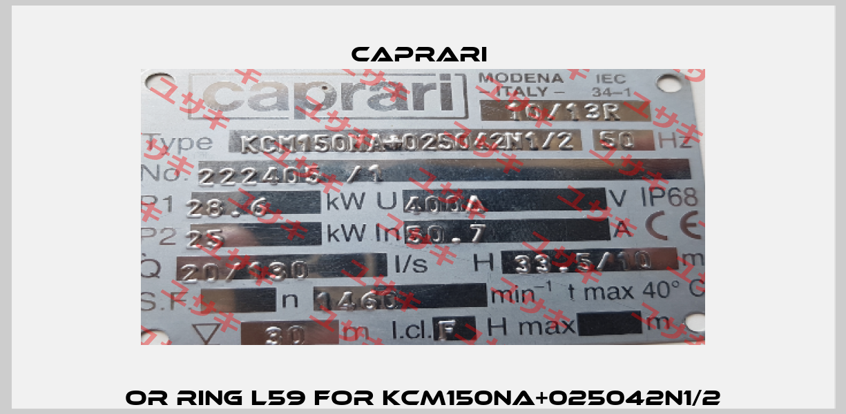 OR ring L59 for KCM150NA+025042N1/2 CAPRARI 