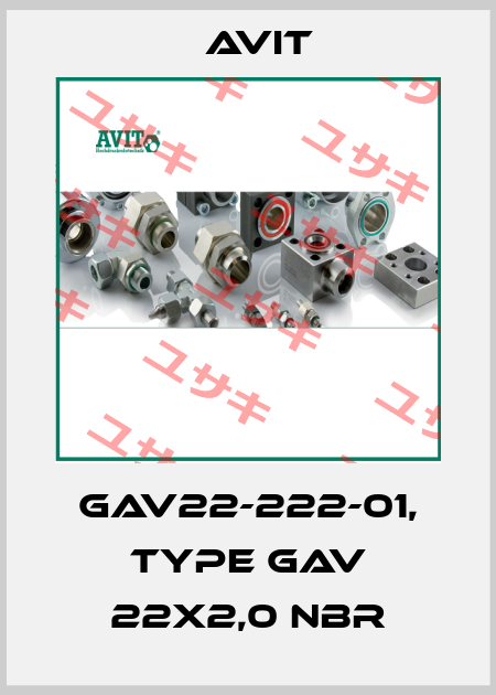 GAV22-222-01, type GAV 22x2,0 NBR Avit