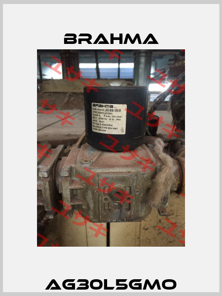 AG30L5GMO Brahma