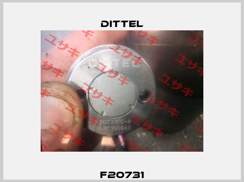 F20731 Dittel