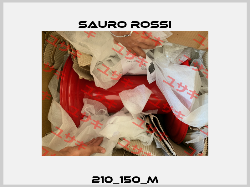 210_150_M Sauro Rossi
