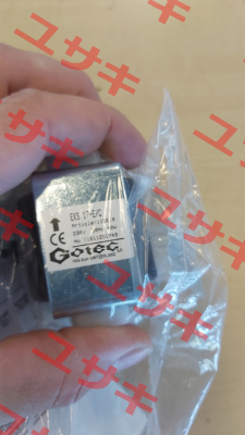 115810 Gotec