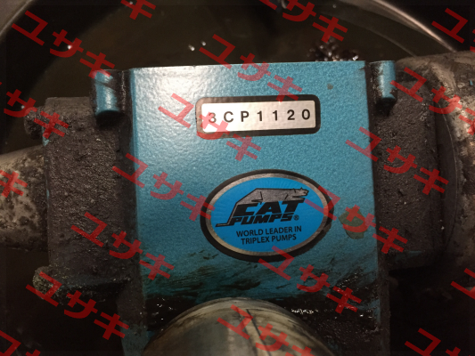 3CP1120 Cat Pumps