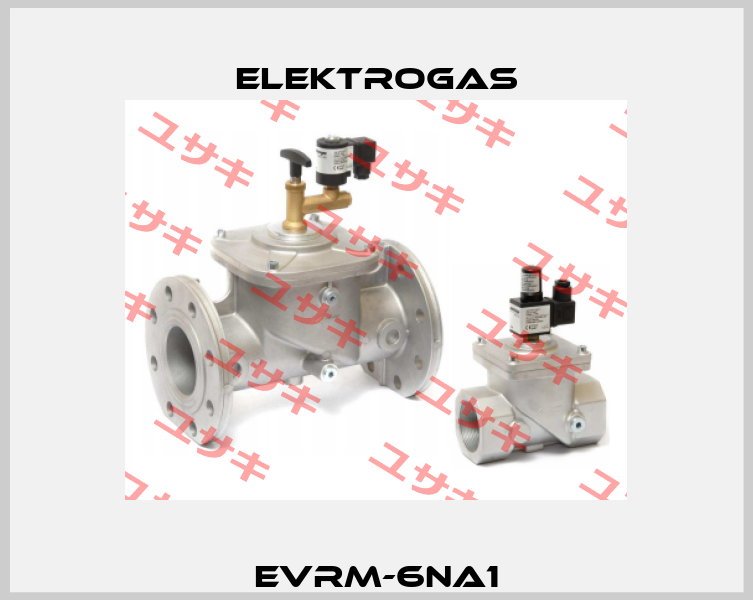 EVRM-6NA1 Elektrogas