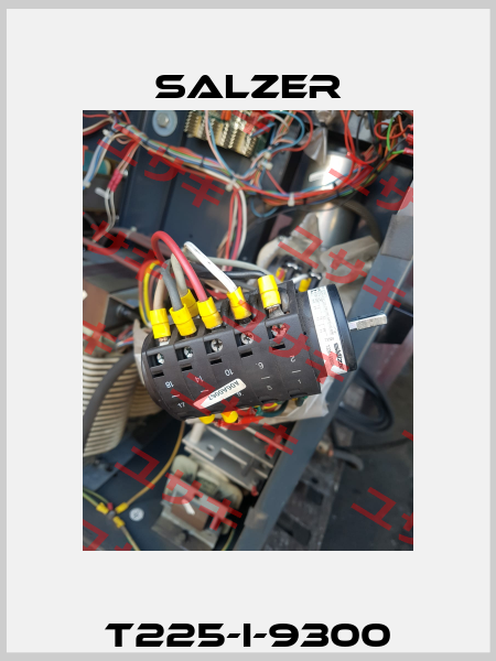 T225-I-9300 Salzer