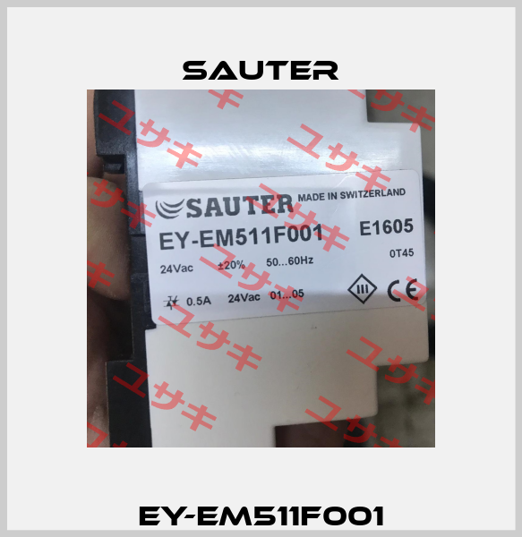 EY-EM511F001 Sauter