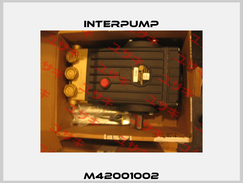 M42001002 Interpump