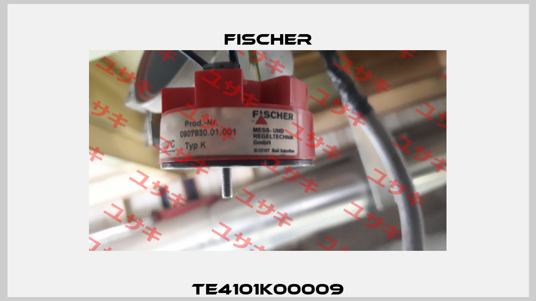 TE4101K00009 Fischer