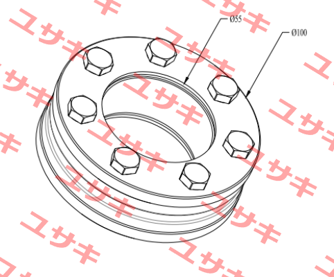 RFN4061 55X100 Ringfeder