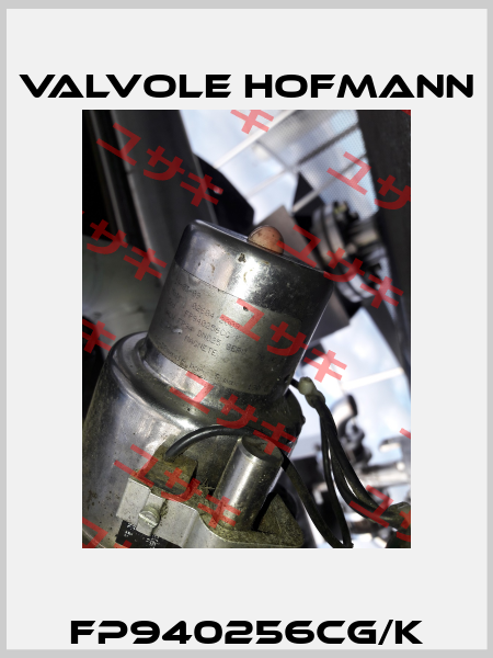 FP940256CG/K Valvole Hofmann