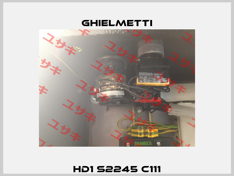 HD1 S2245 C111 Ghielmetti
