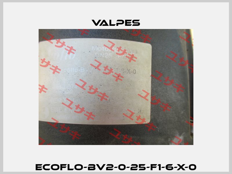 Ecoflo-BV2-0-25-F1-6-X-0 Valpes