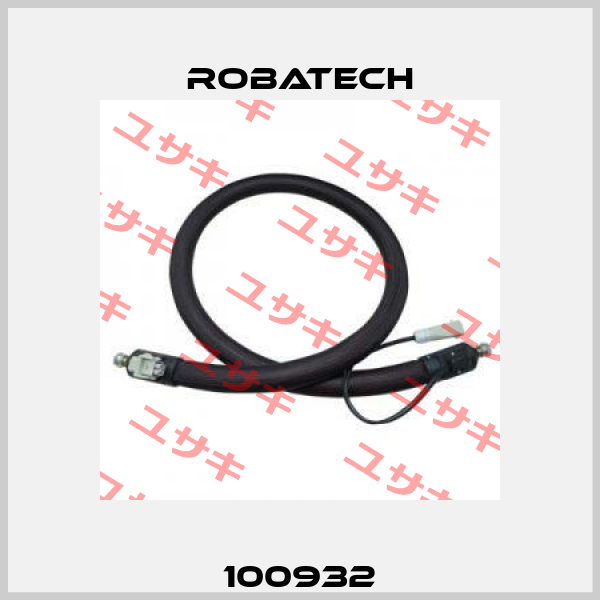 100932 Robatech