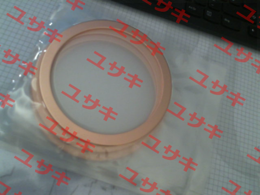 213-454 ( Set of 10 pcs ) Inficon