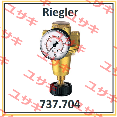P/N: 100893 Type: 737.704 Riegler