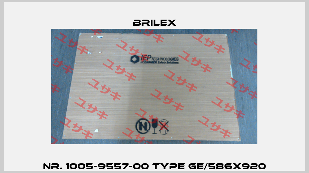 Nr. 1005-9557-00 Type GE/586X920 Brilex