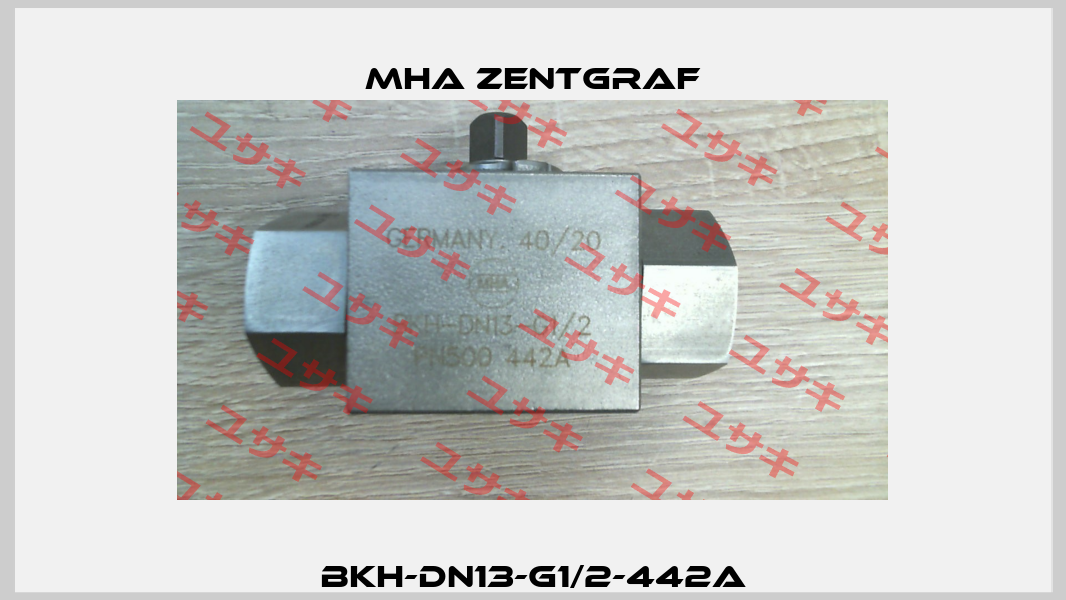 BKH-DN13-G1/2-442A Mha Zentgraf