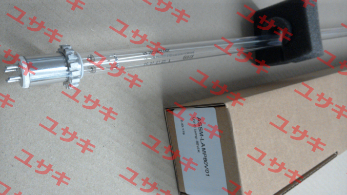 ASSM-LAMP80V01 Berson