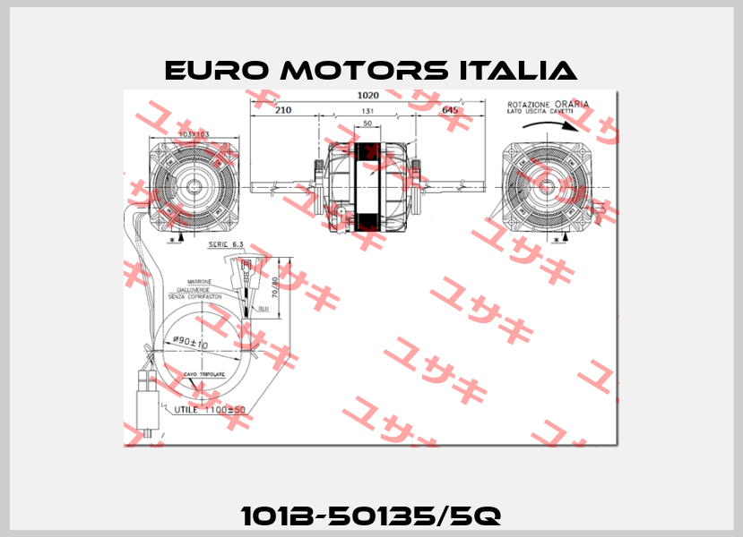 101B-50135/5Q Euro Motors Italia