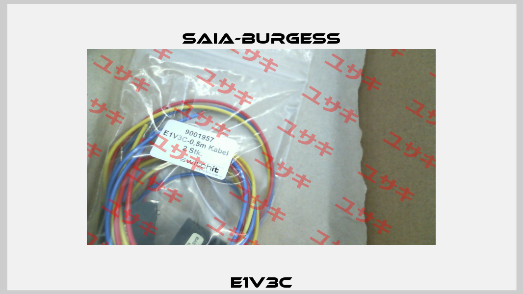 E1V3C Saia-Burgess