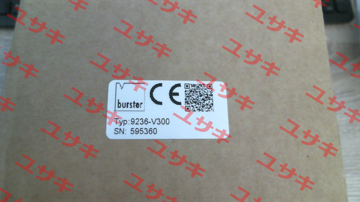 9236-V300 Burster