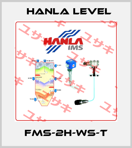 FMS-2H-WS-T HANLA LEVEL
