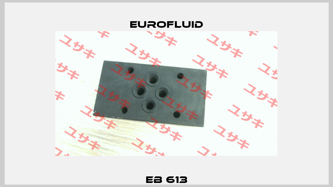 EB 613 Eurofluid