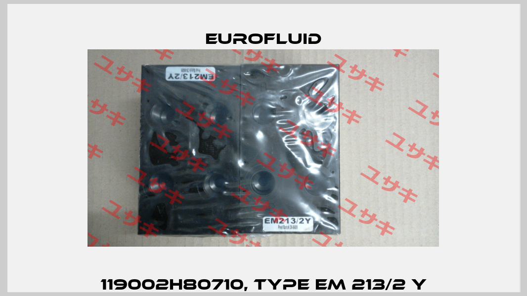 119002H80710, Type EM 213/2 Y Eurofluid