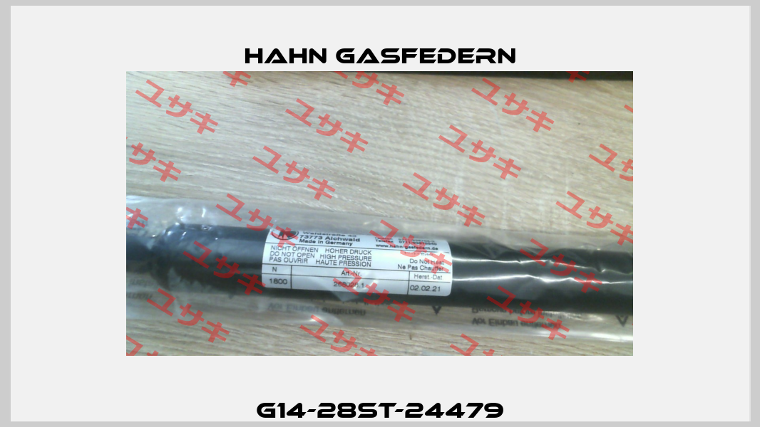 G14-28ST-24479 Hahn Gasfedern