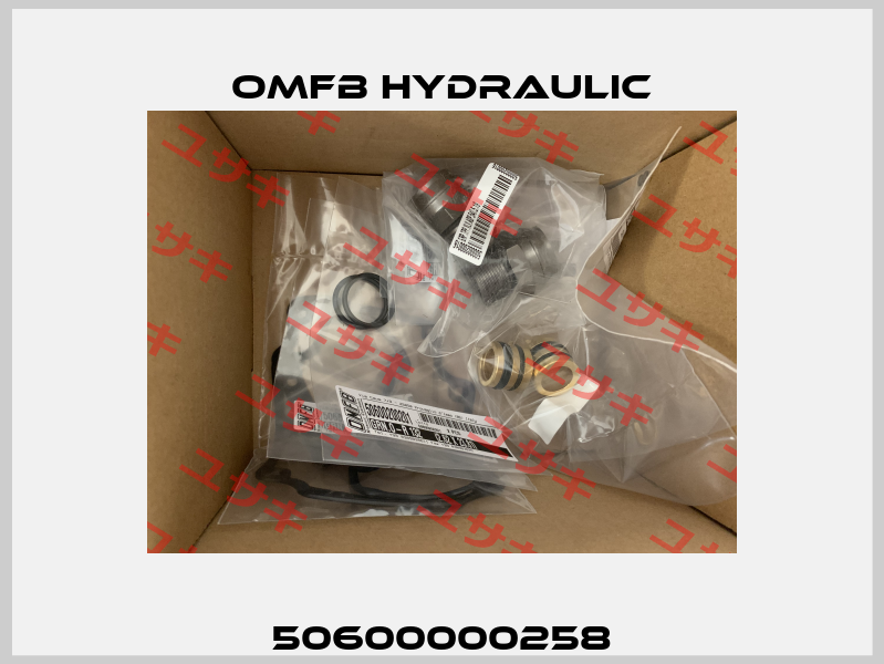 50600000258 OMFB Hydraulic