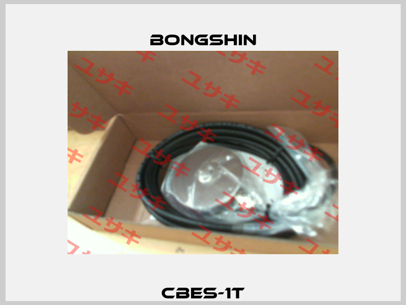 CBES-1T Bongshin