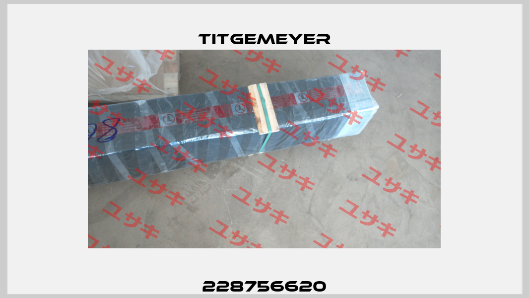 228756620 Titgemeyer