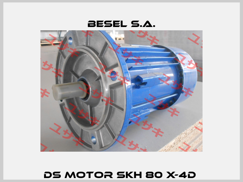 DS Motor SKH 80 X-4D  BESEL S.A.