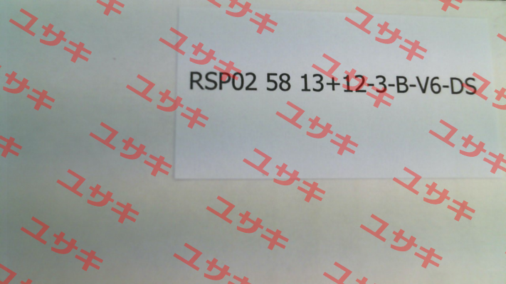 RSP02- 58 13+12-3-B-V6-DS (02.12.25231150) Resatron