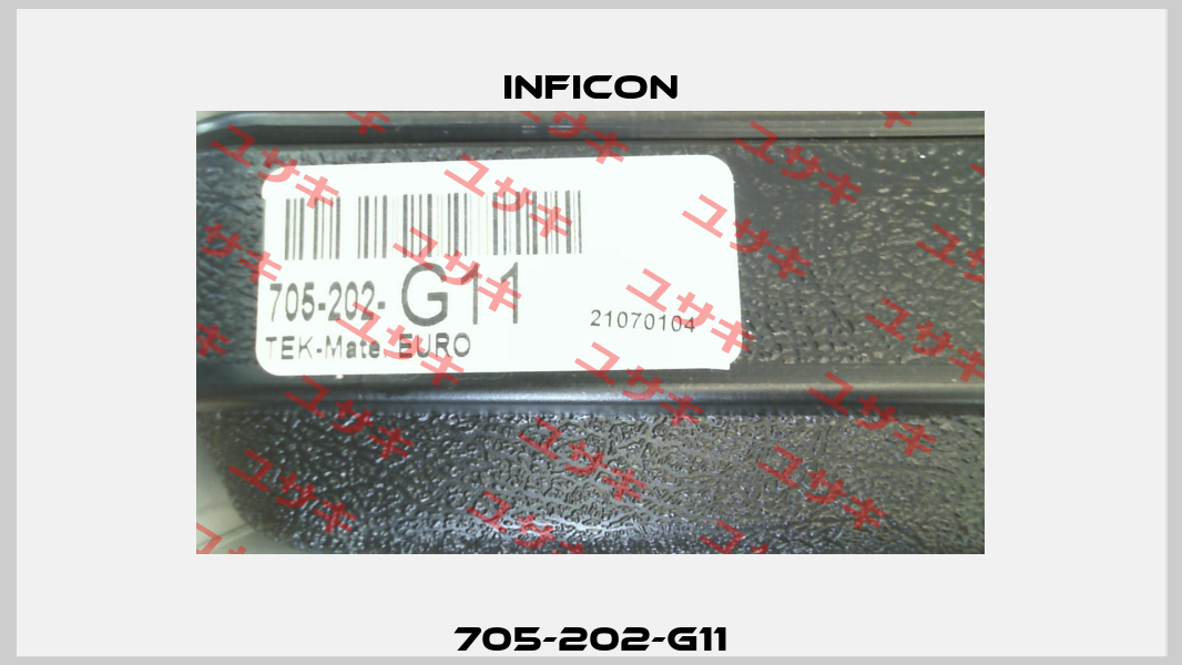 705-202-G11 Inficon