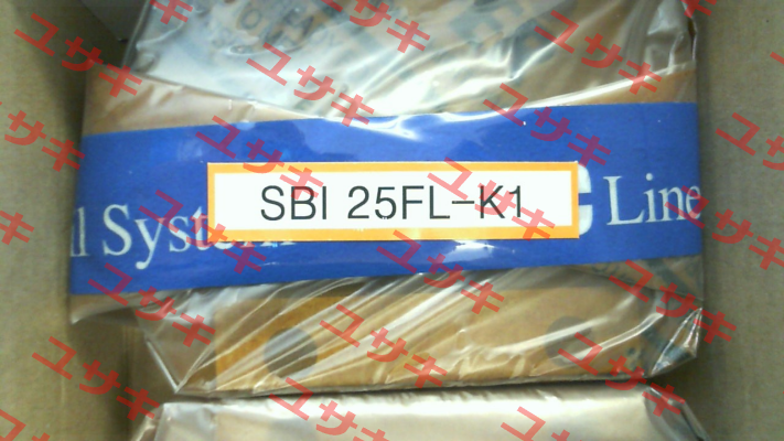 SBI 25 FL K1 SBC Linear Rail System