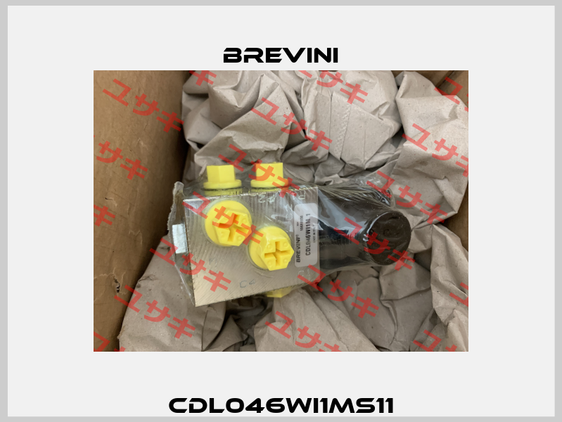 CDL046WI1MS11 Brevini