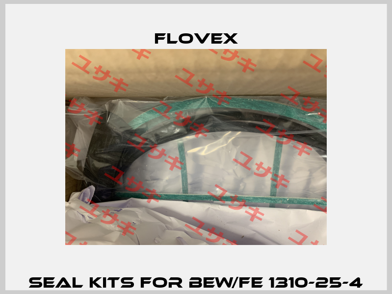 seal kits for BEW/FE 1310-25-4 Flovex