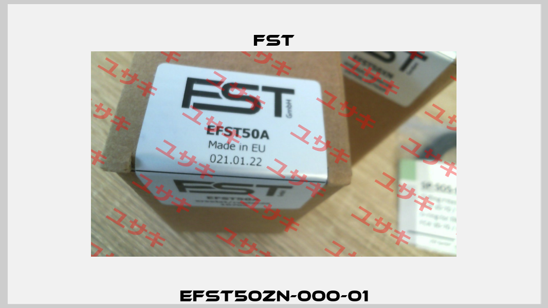 EFST50ZN-000-01 FST GmbH Filtrations-Separations-Technik