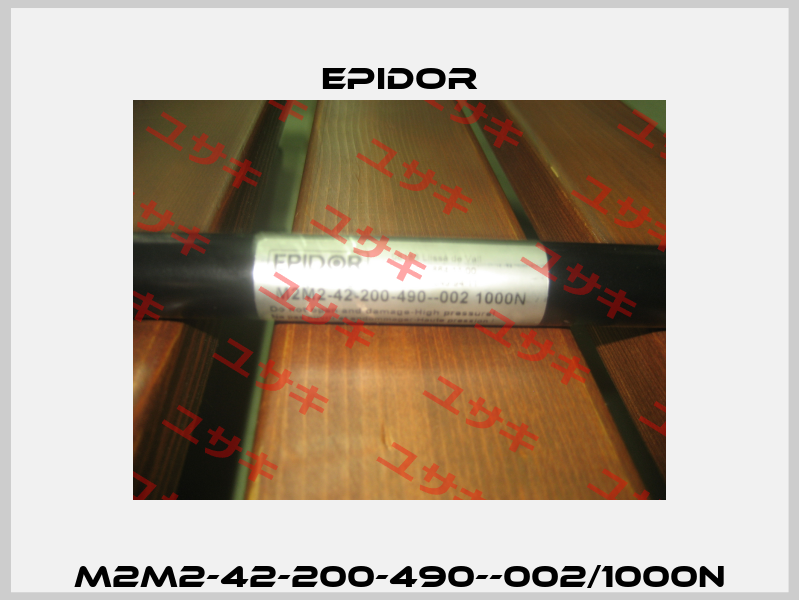 M2M2-42-200-490--002/1000N Epidor