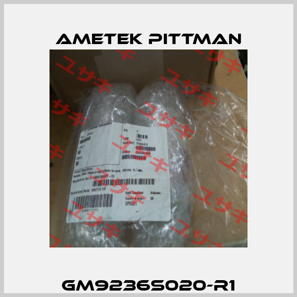 GM9236S020-R1 Ametek Pittman