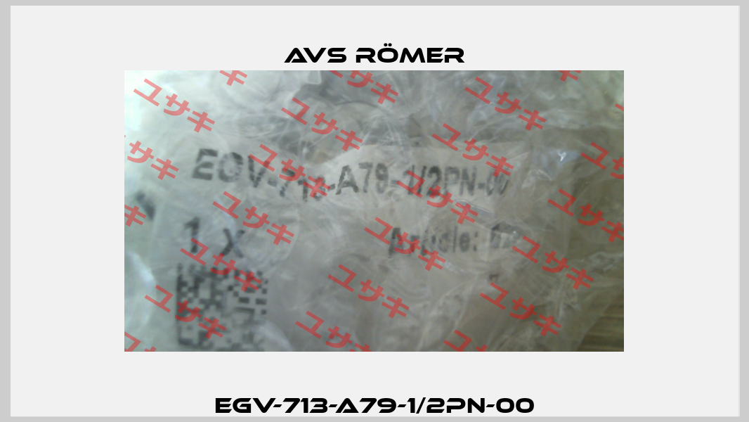 EGV-713-A79-1/2PN-00 Avs Römer