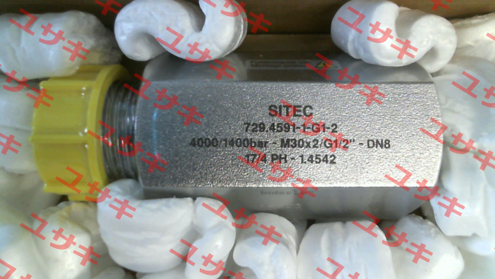 729.4591-1-G1-2 / b SITEC